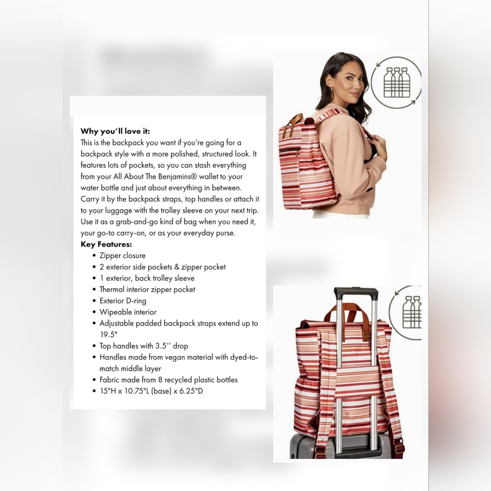 Thirty-One's Sedona Stripe Journey Backpack